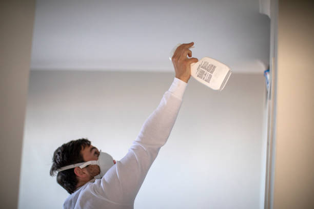 Mold Removal and Inspection in Pearl, MS