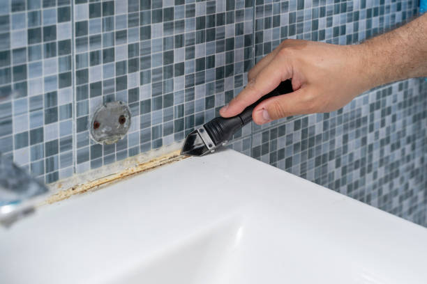 Best Mold Removal Near Me  in Pearl, MS
